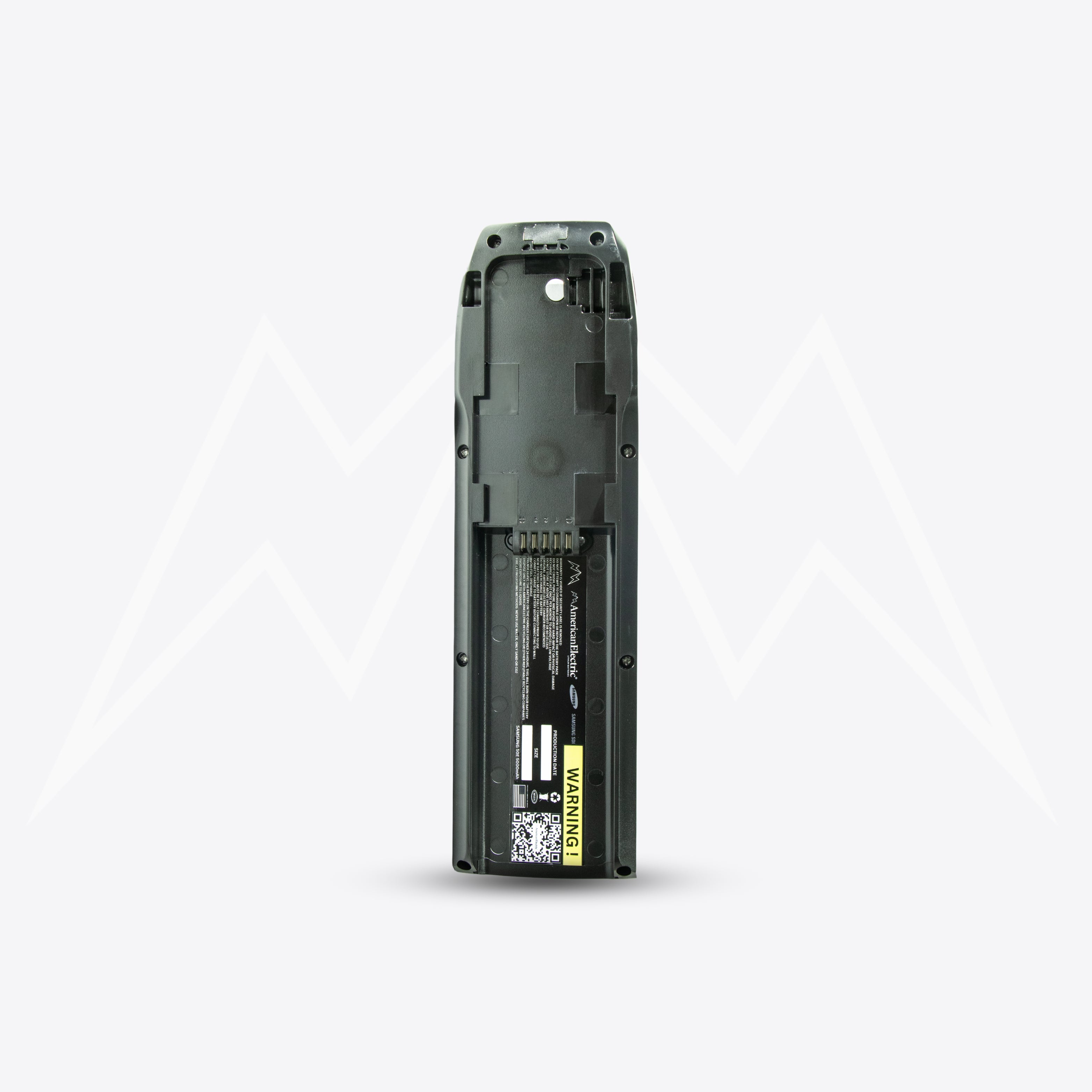 Lectric XP Trike Battery Pack