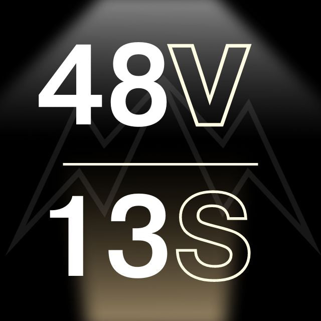 48V 13S LITHIUM-ION BATTERY PACK