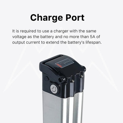 Israel SF-SSE-010 Battery Case