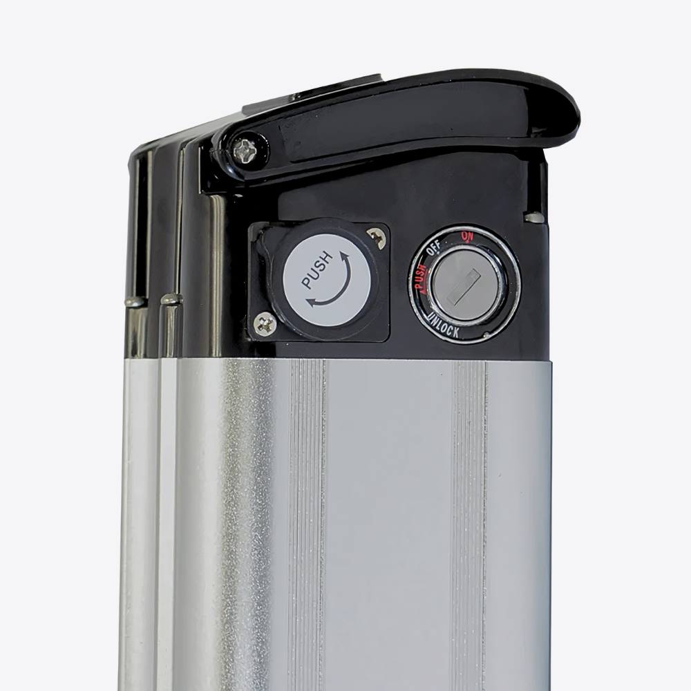 Ecotric 36v battery hotsell