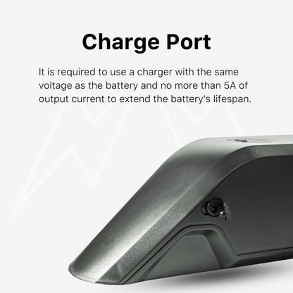 Ariel Rider Kepler Battery Pack