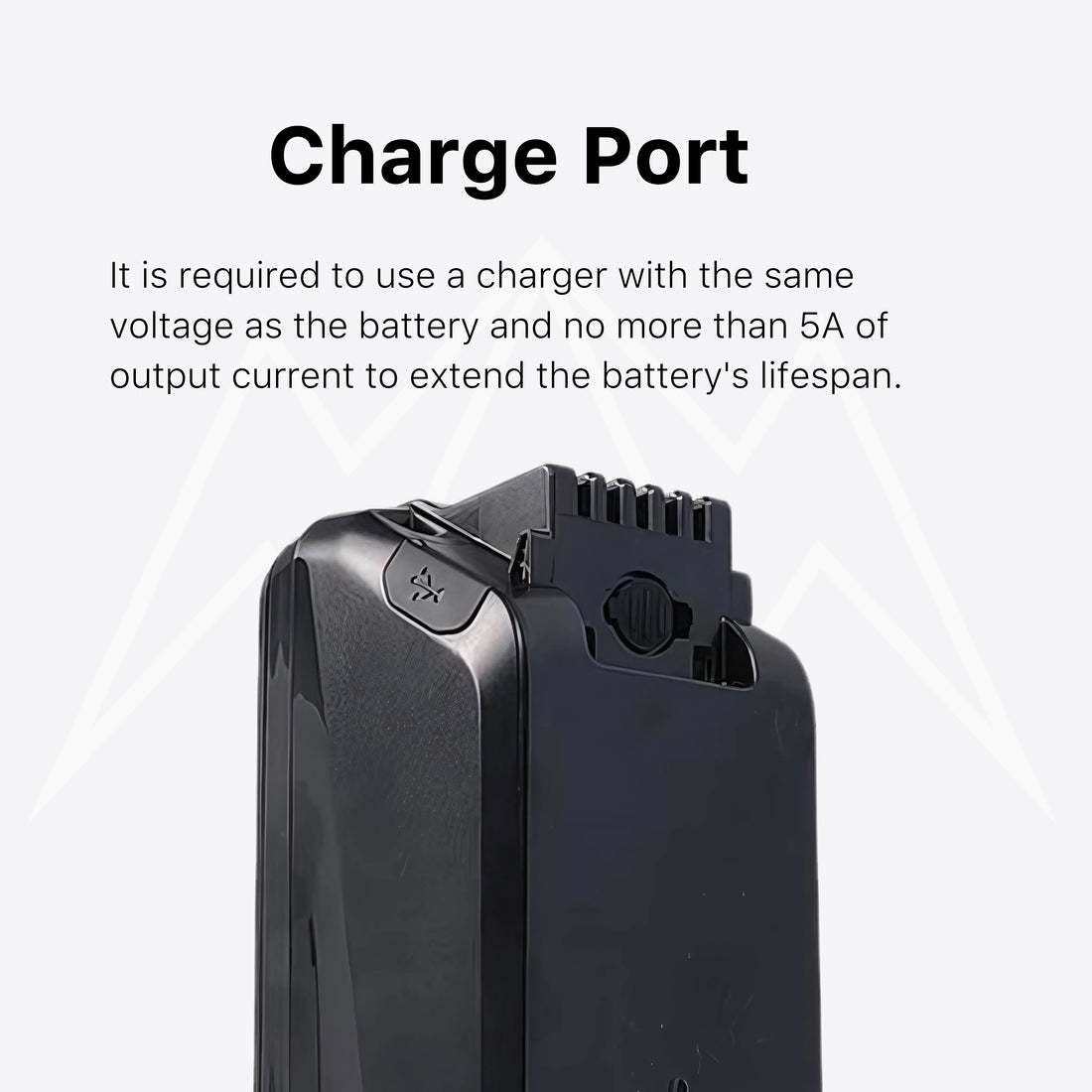 Synergy Ride x2 Battery Pack