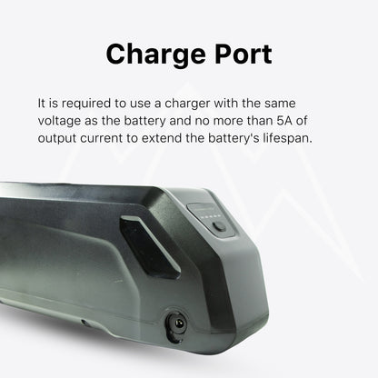 Lectric XP Trike Battery Pack