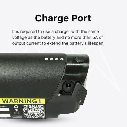 Synergy Commuter High Step Battery Pack