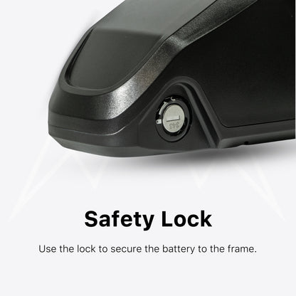 Polly DP-3 Battery Case