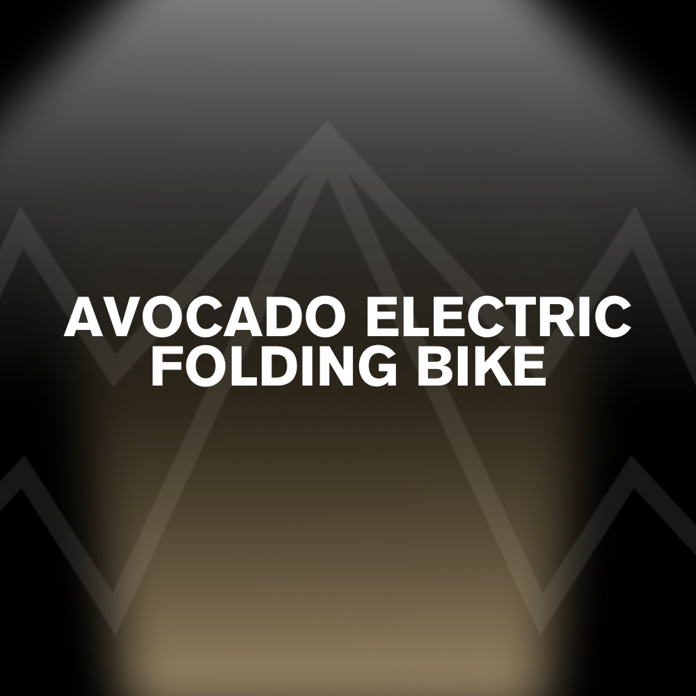 AVOCADO ELECTRIC FOLDING BIKE Battery Pack