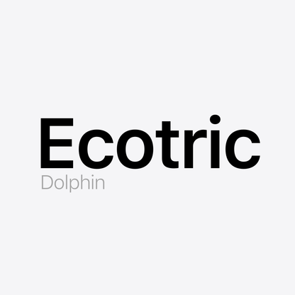 Ecotric Dolphin Battery Pack