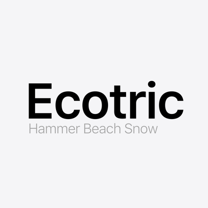 Ecotric Hammer Beach Snow Battery Pack