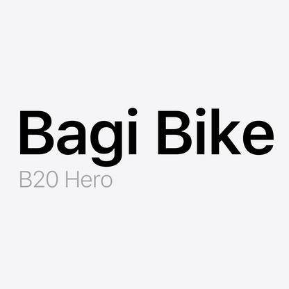 Bagi Bike B20 Hero Battery Pack