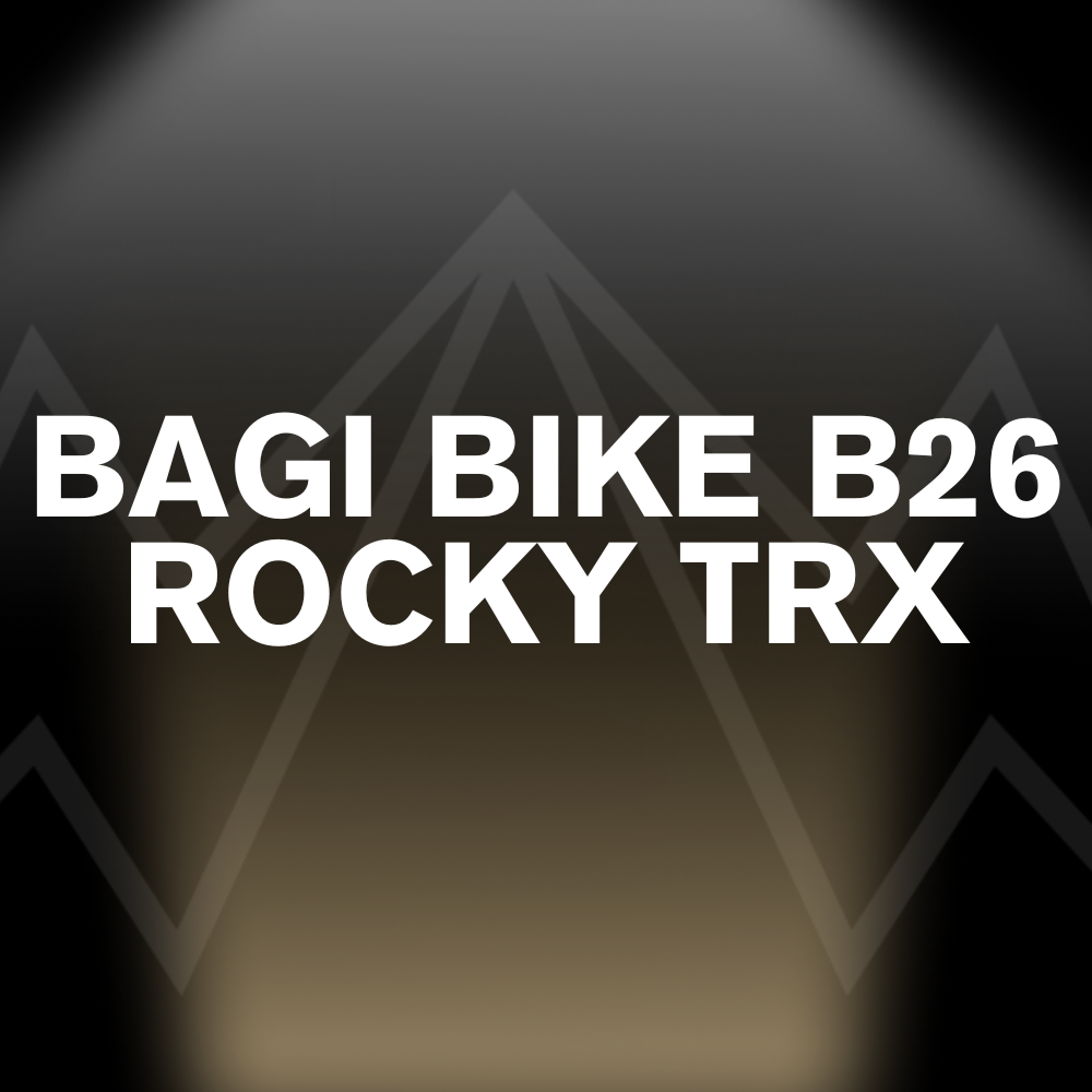 Bagibike b26 deals
