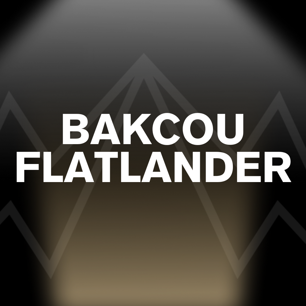 BAKCOU FLATLANDER Battery Pack