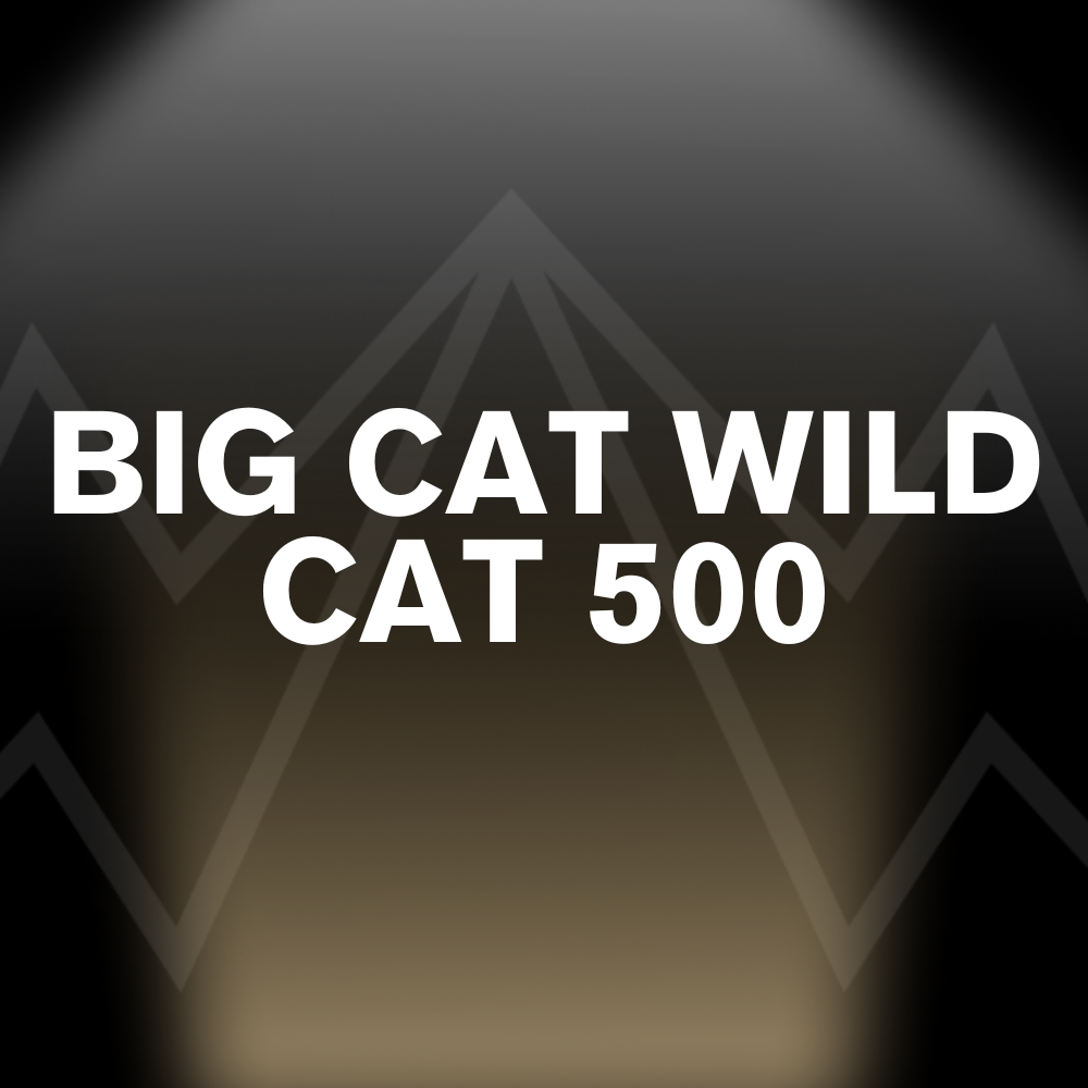 BIG CAT WILD CAT 500 Battery Pack