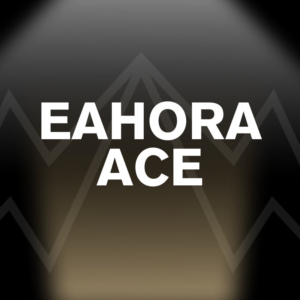 EAHORA ACE Battery Pack