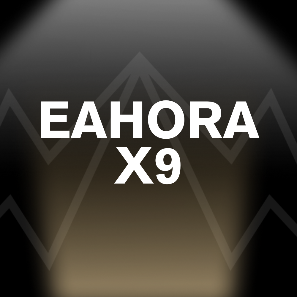 EAHORA X9 Battery Pack