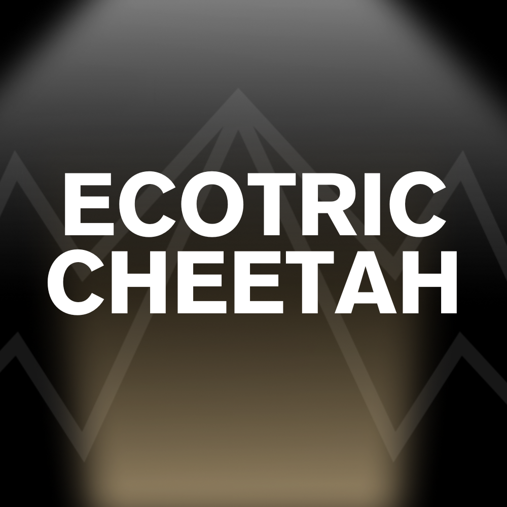ECOTRIC CHEETAH Battery Pack