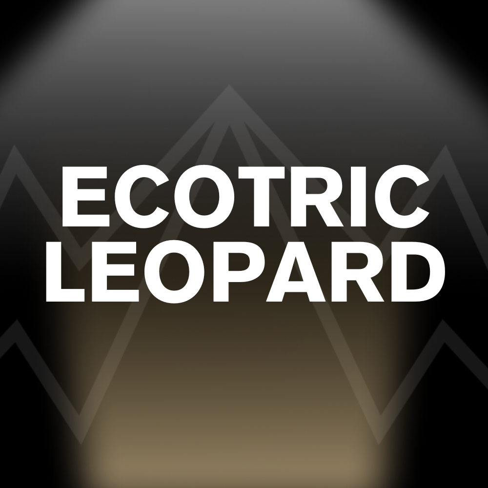 ECOTRIC LEOPARD Battery Pack