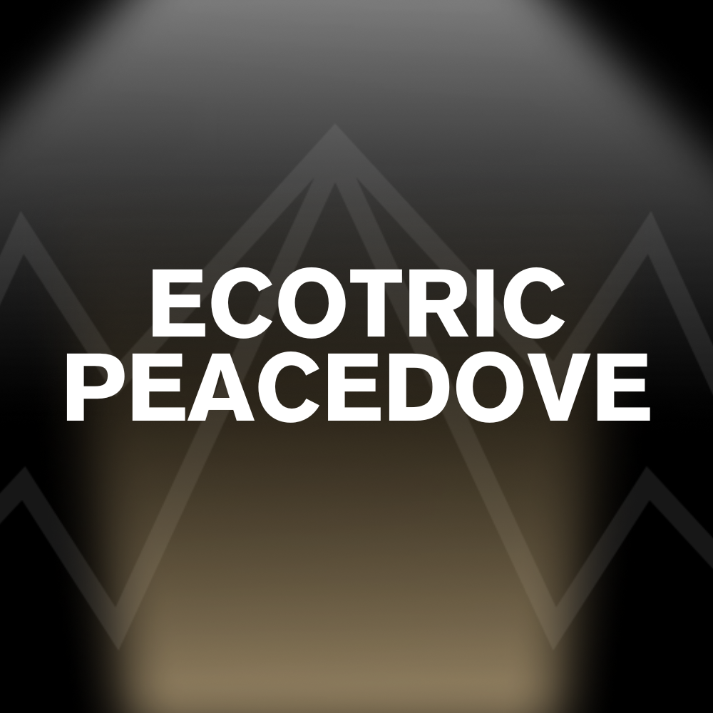 ECOTRIC PEACEDOVE Battery Pack