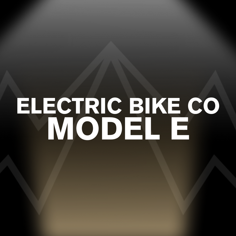 ELECTRIC BIKE CO MODEL E Battery Pack
