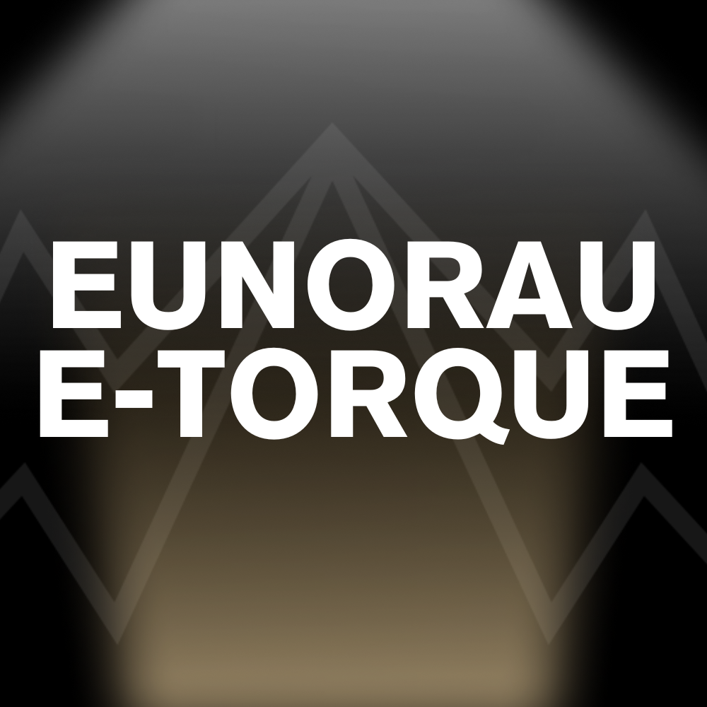 EUNORAU E-TORQUE Battery Pack
