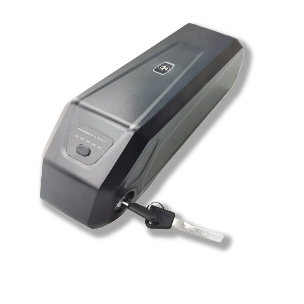 LECTRIC XP TRIKE Battery Pack