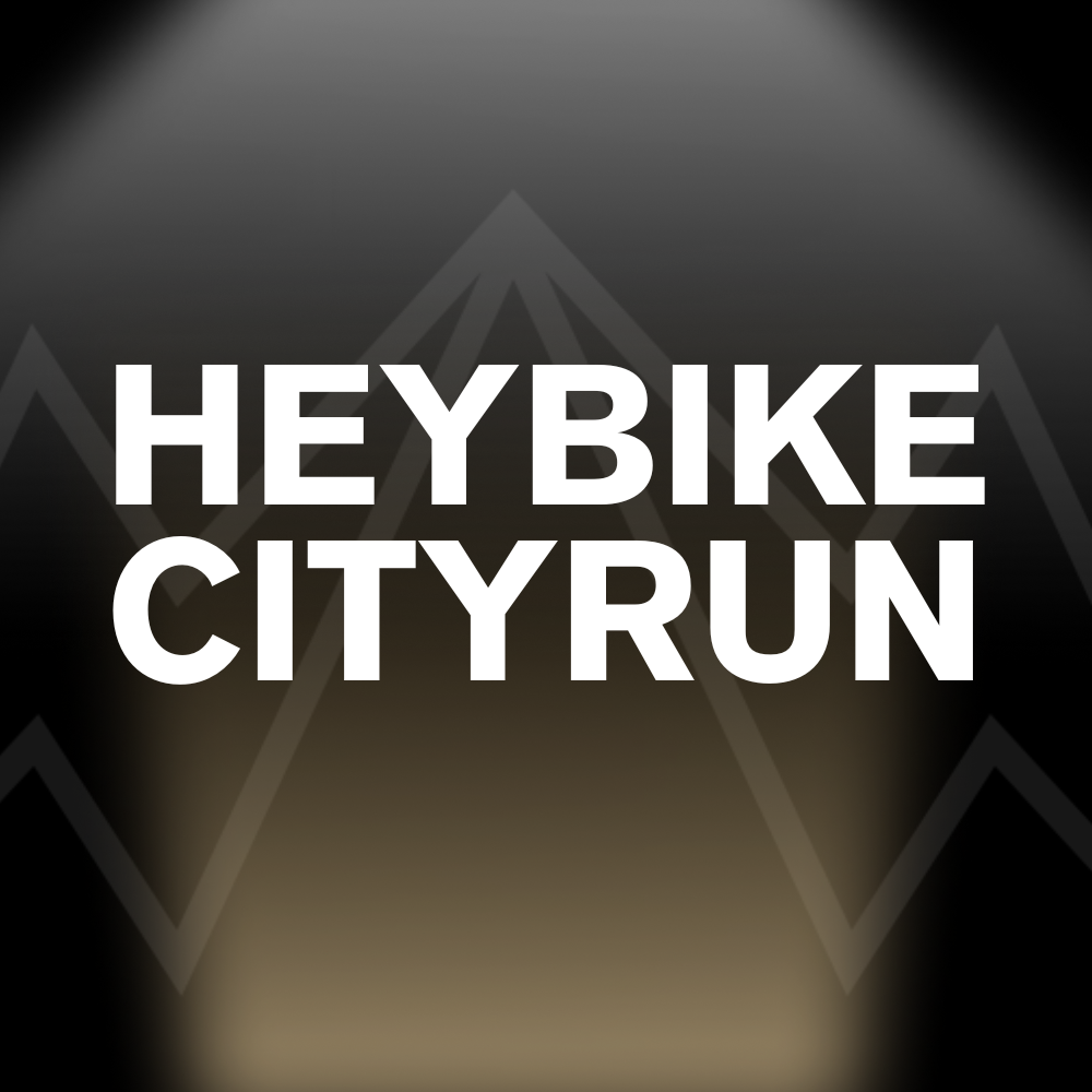 HEYBIKE CITYRUN Battery Pack