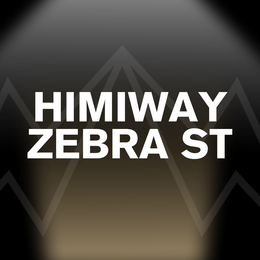 HIMIWAY ZEBRA ST Battery Pack