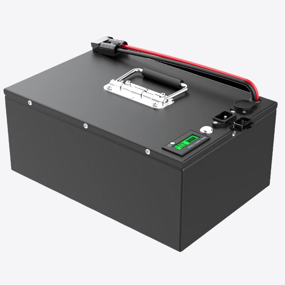 52V LITHIUM-ION CUSTOM BATTERY PACK + CASE