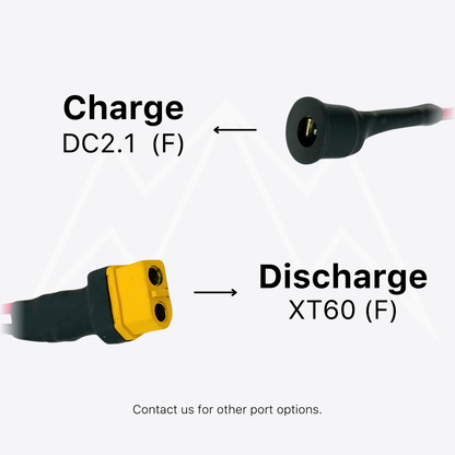 52V 7AH Naked Battery Pack