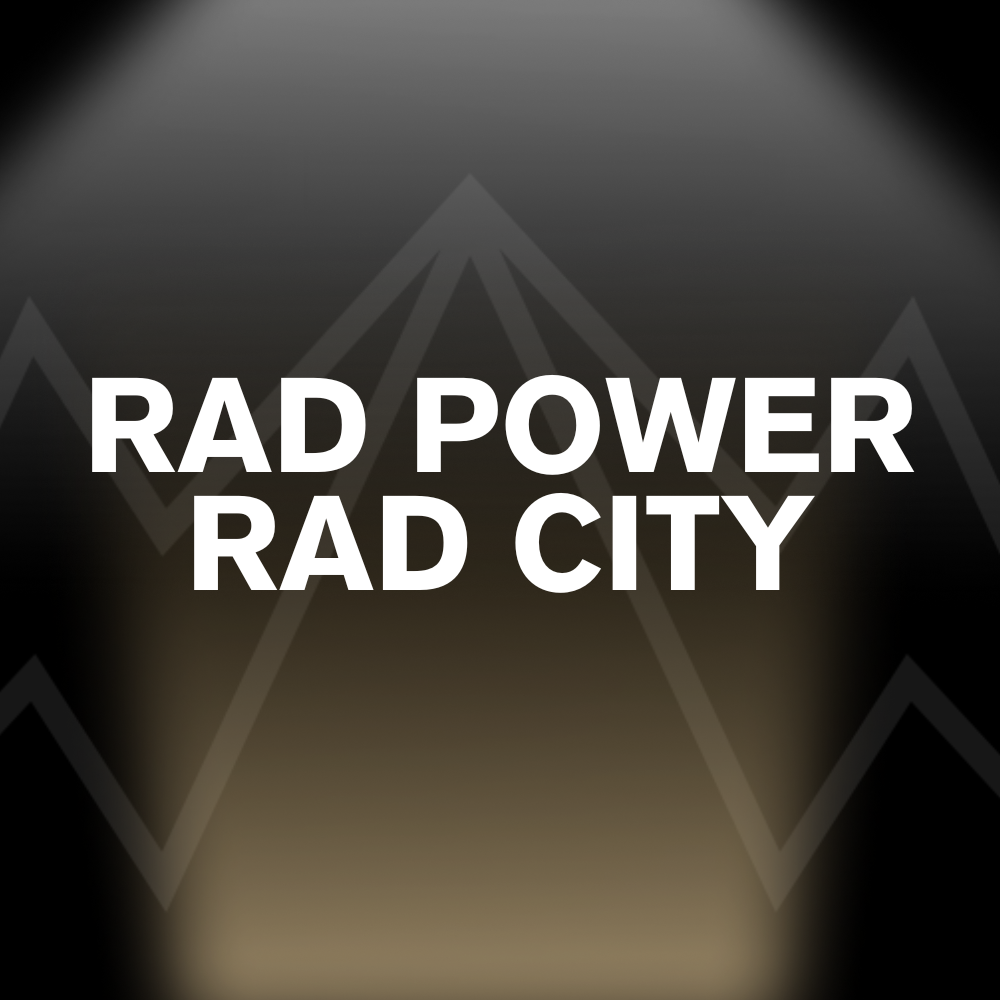 RAD POWER RAD CITY Battery Pack