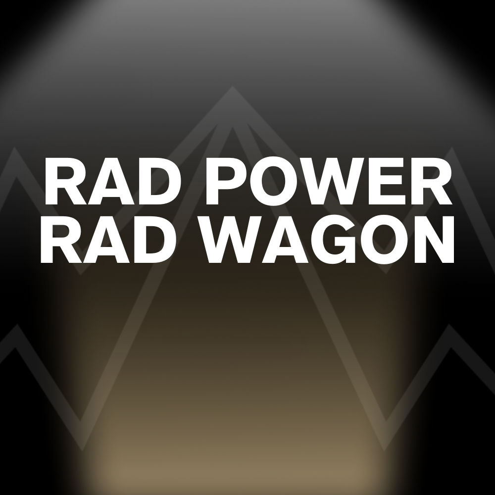 RAD POWER RAD WAGON Battery Pack