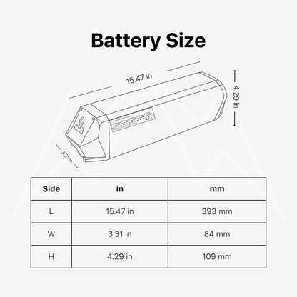 Biktrix Stunner Battery Pack