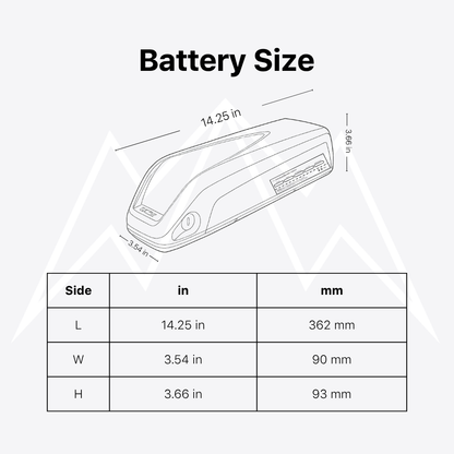 Ecotric Cheetah Battery Pack