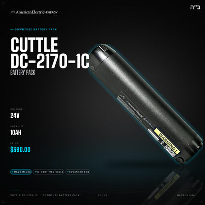 Cuttle DC-2170-1C Battery Pack: 24V 10AH downtube battery, $390