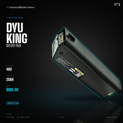 DYU King Battery Pack: 48V 20AH battery pack, $685