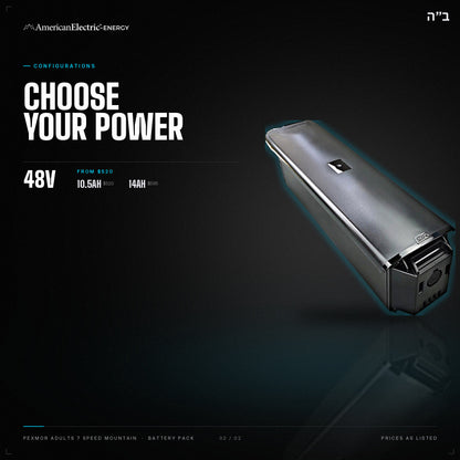 Pexmor Adults 7 Speed Mountain Battery Pack: configurations, 48V, capacities and prices
