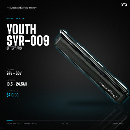 Youth SYR-009 Battery Pack: 24V/36V/48V/52V/60V 10.5-24.5AH battery pack, from $410