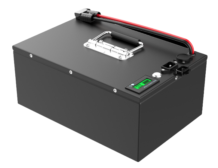 48V LITHIUM-ION CUSTOM BATTERY PACK + CASE